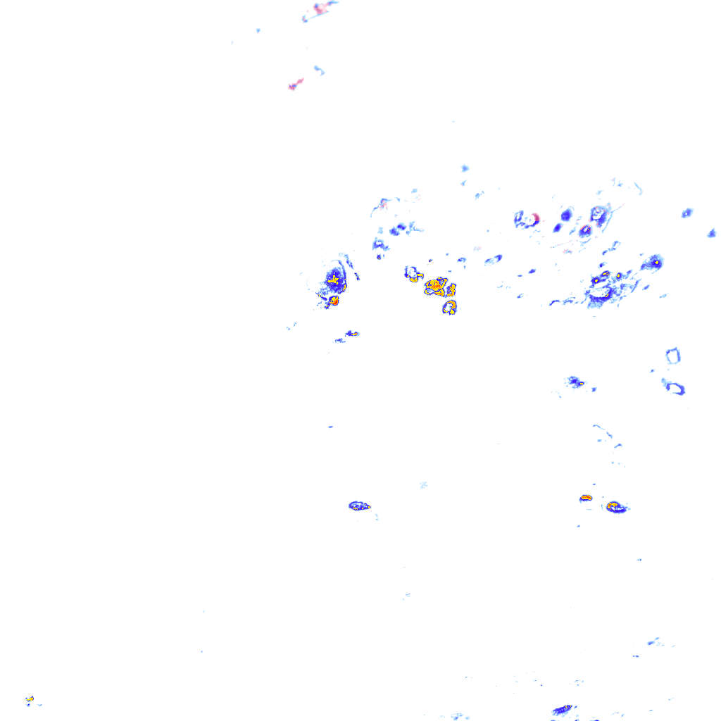 rainLayer