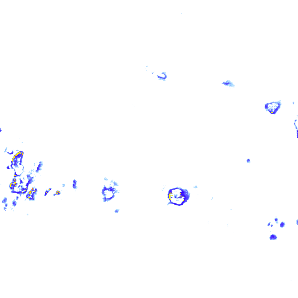 rainLayer