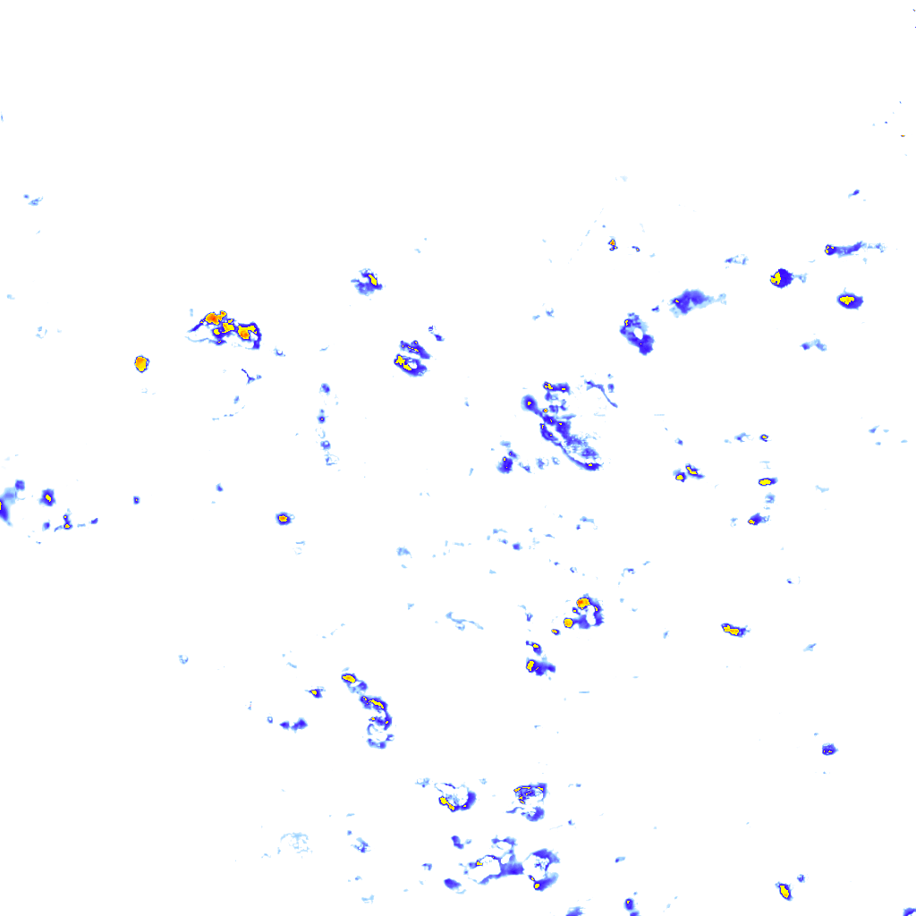 rainLayer