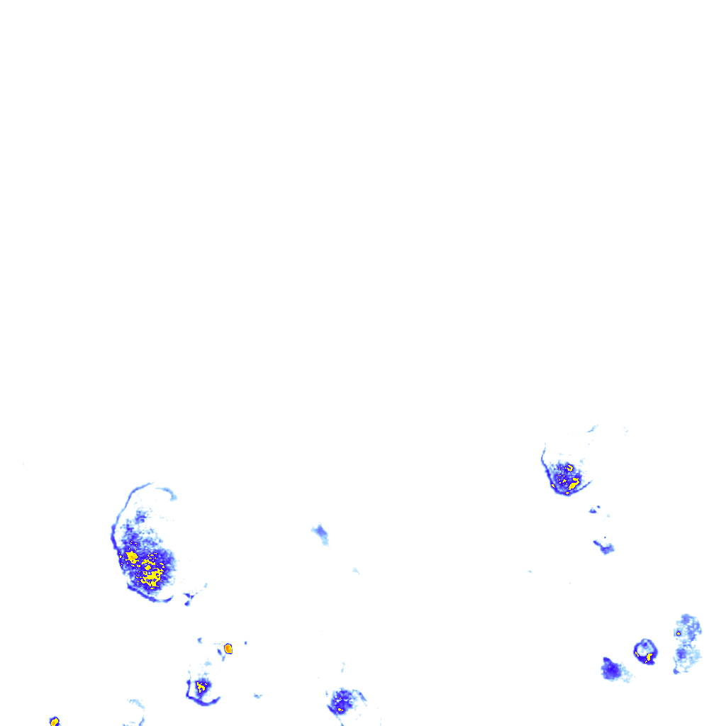 rainLayer