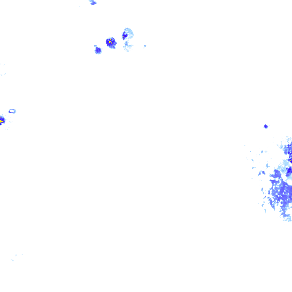 rainLayer