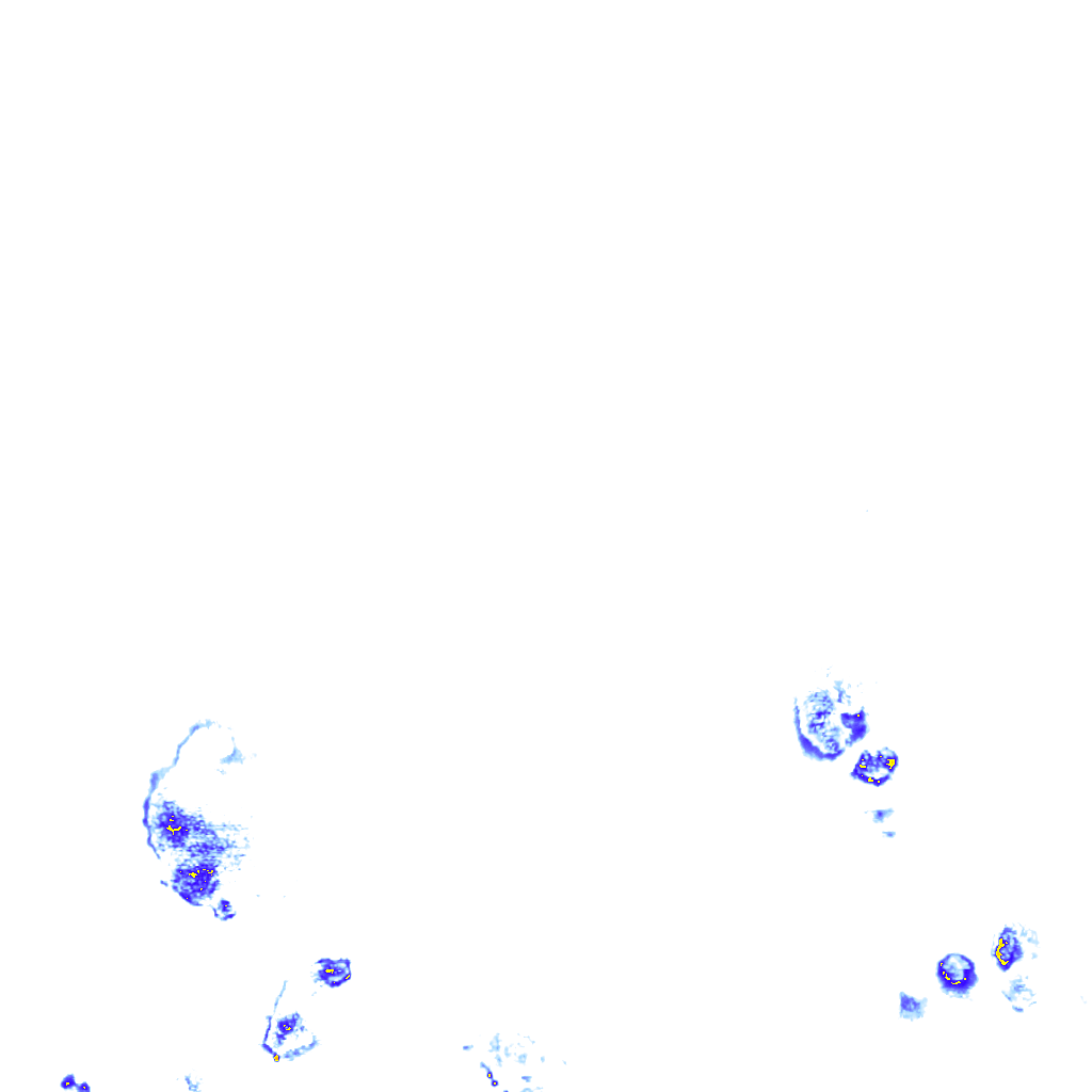 rainLayer