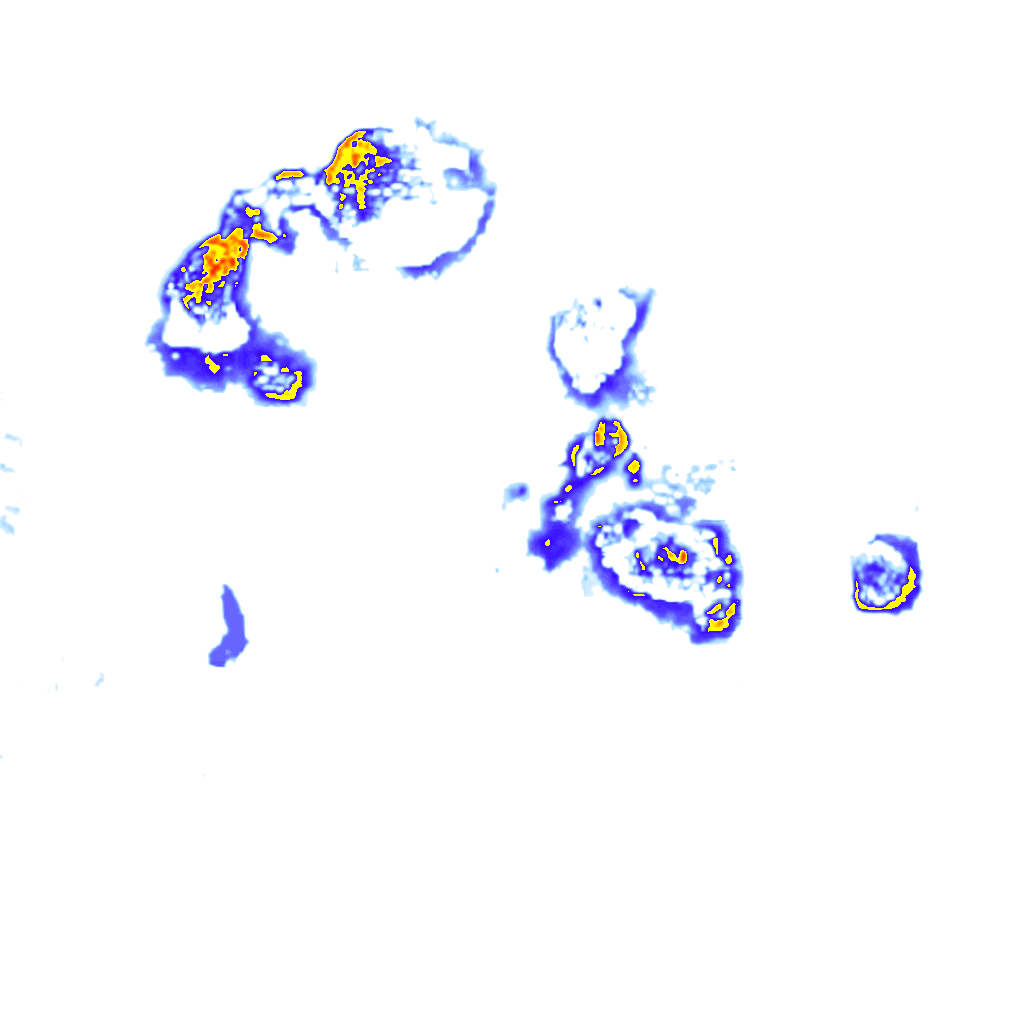 Image Layer