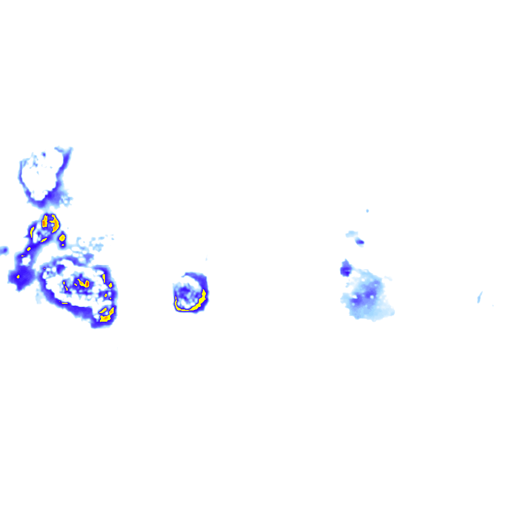 Image Layer