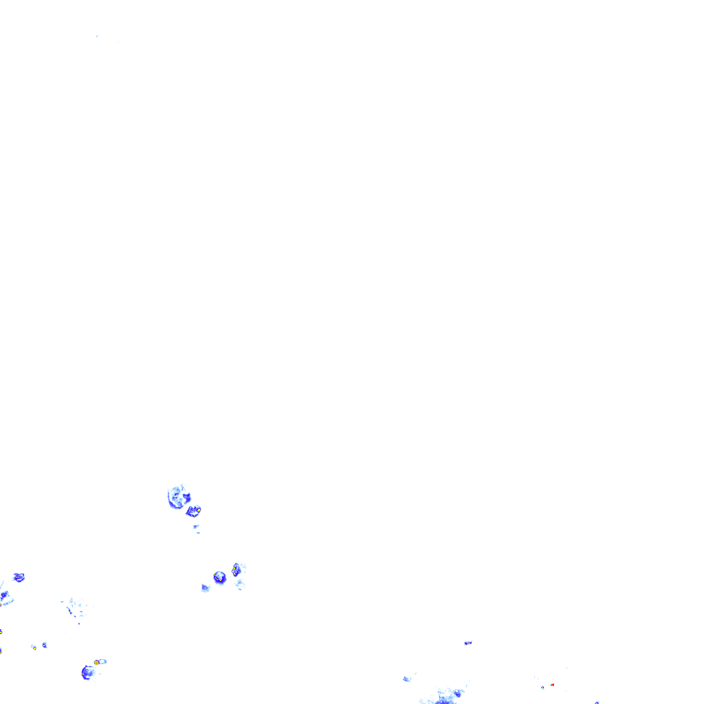 rainLayer