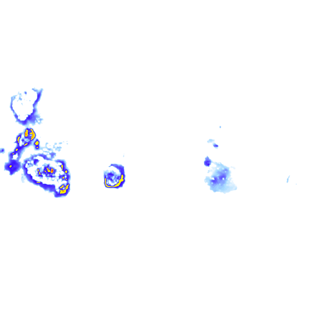 Image Layer