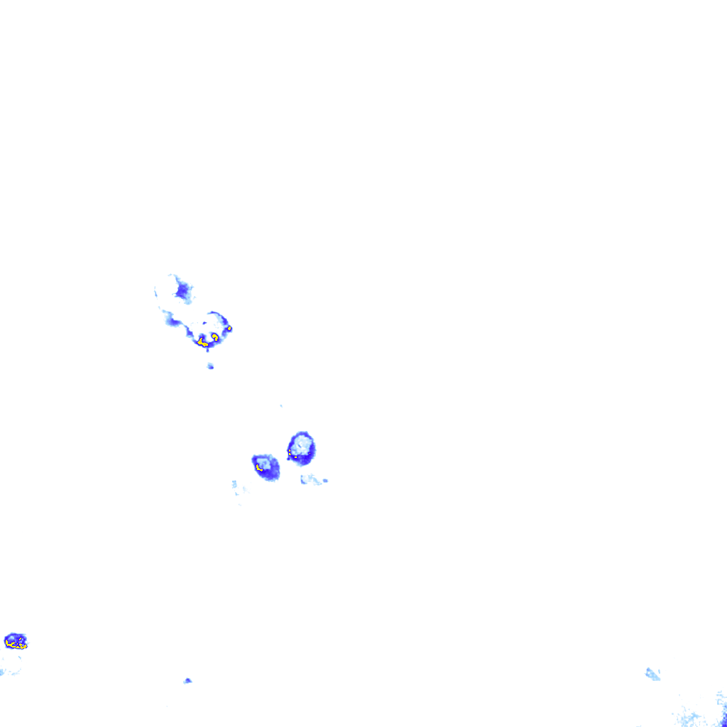 rainLayer