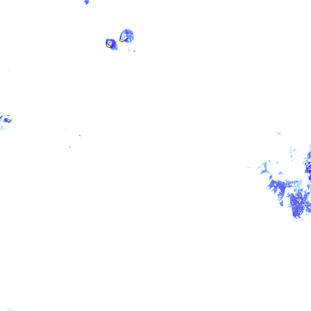 rainLayer