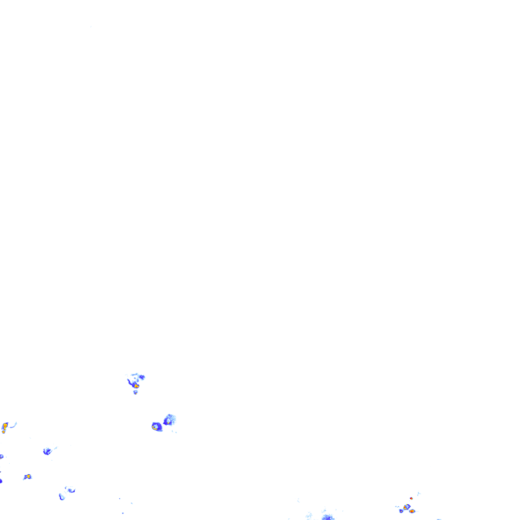 rainLayer