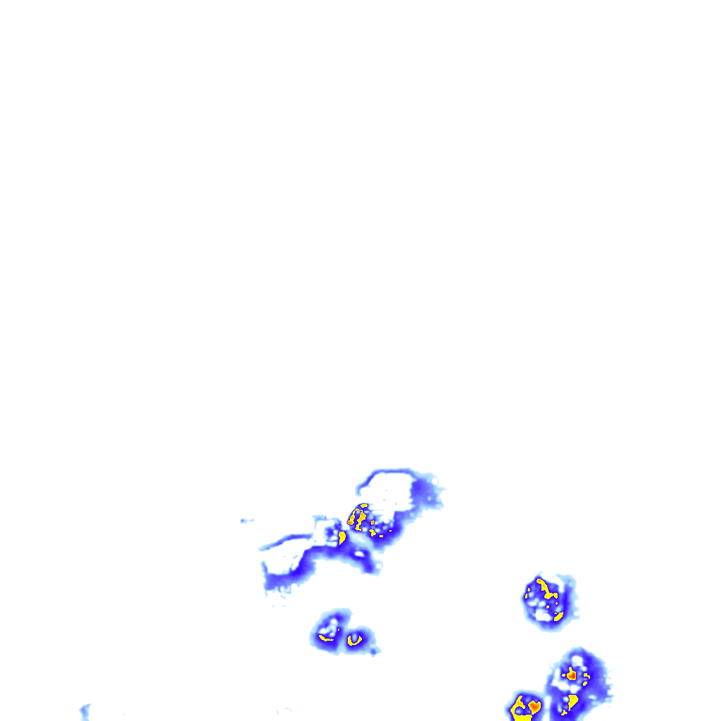 rainLayer