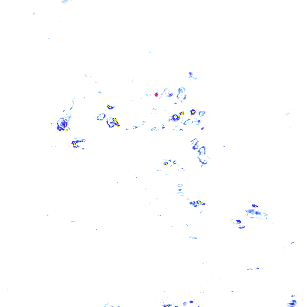 rainLayer