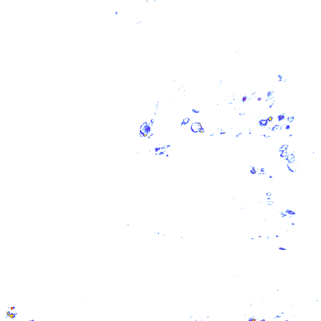rainLayer