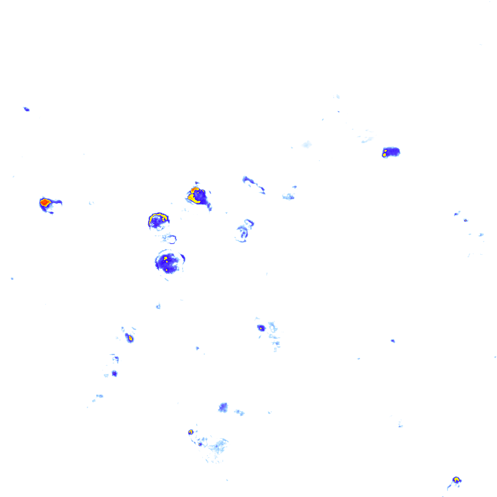 Image Layer
