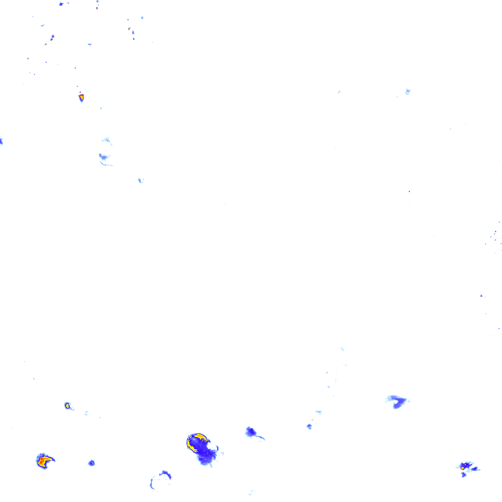rainLayer