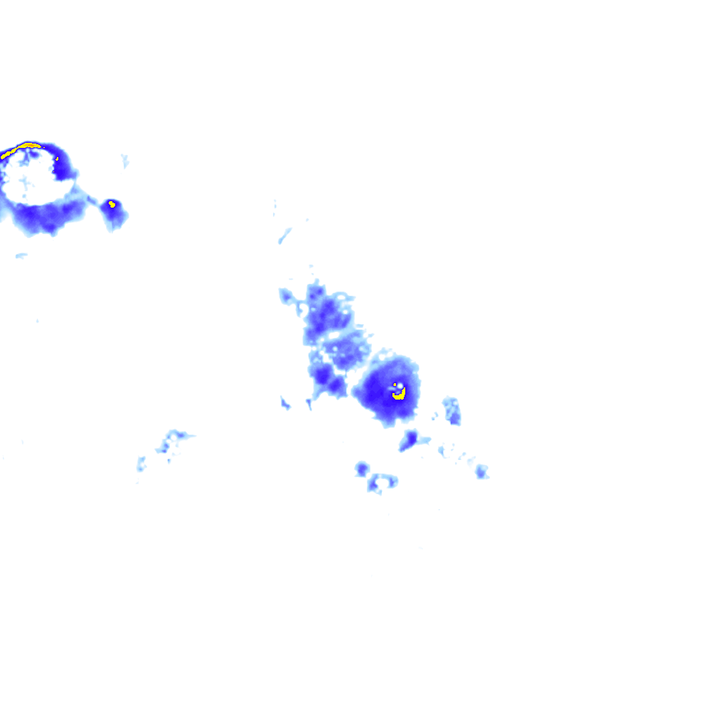 rainLayer
