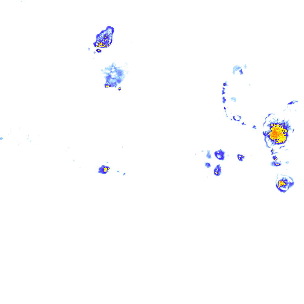 rainLayer