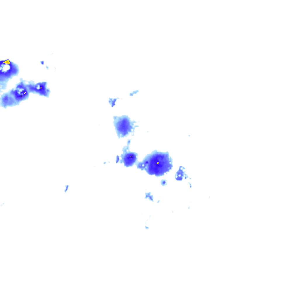 rainLayer