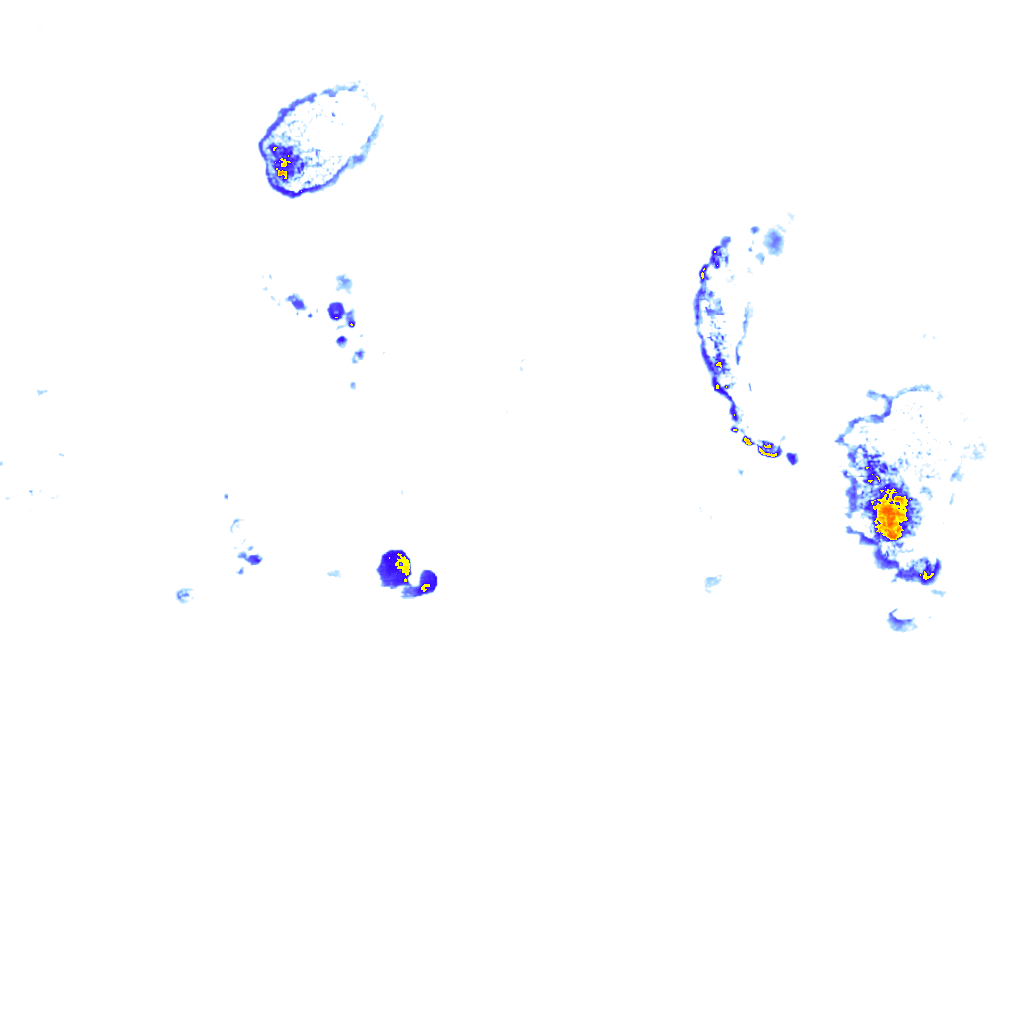 rainLayer