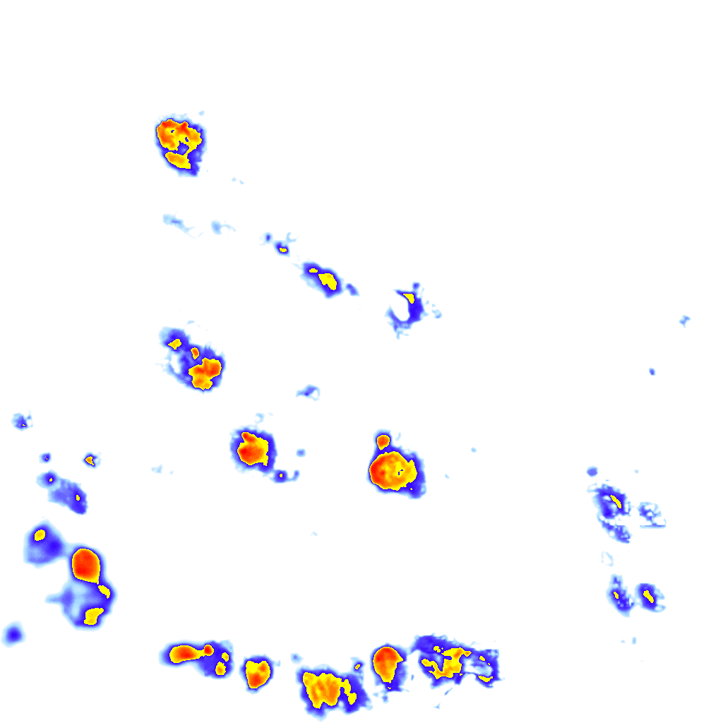 Image Layer