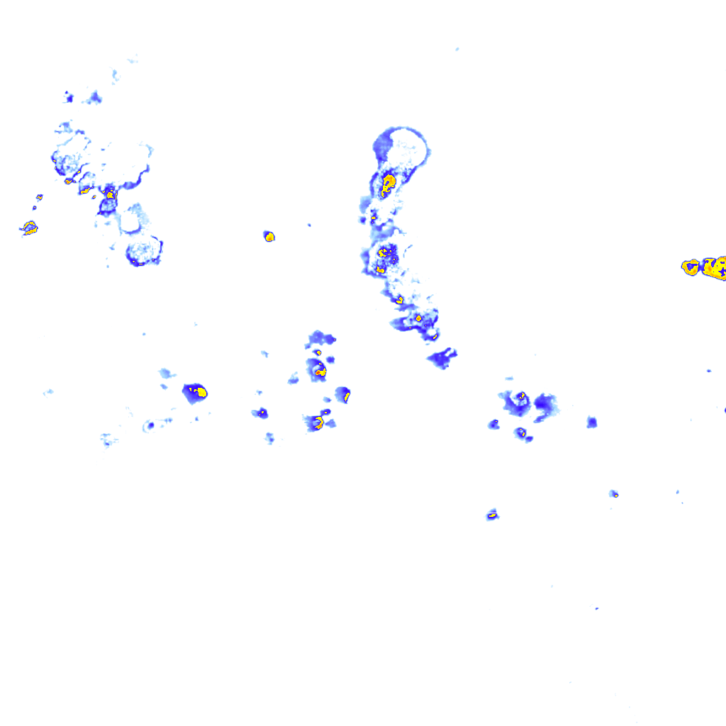 rainLayer