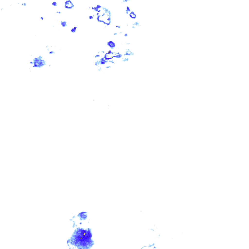 rainLayer