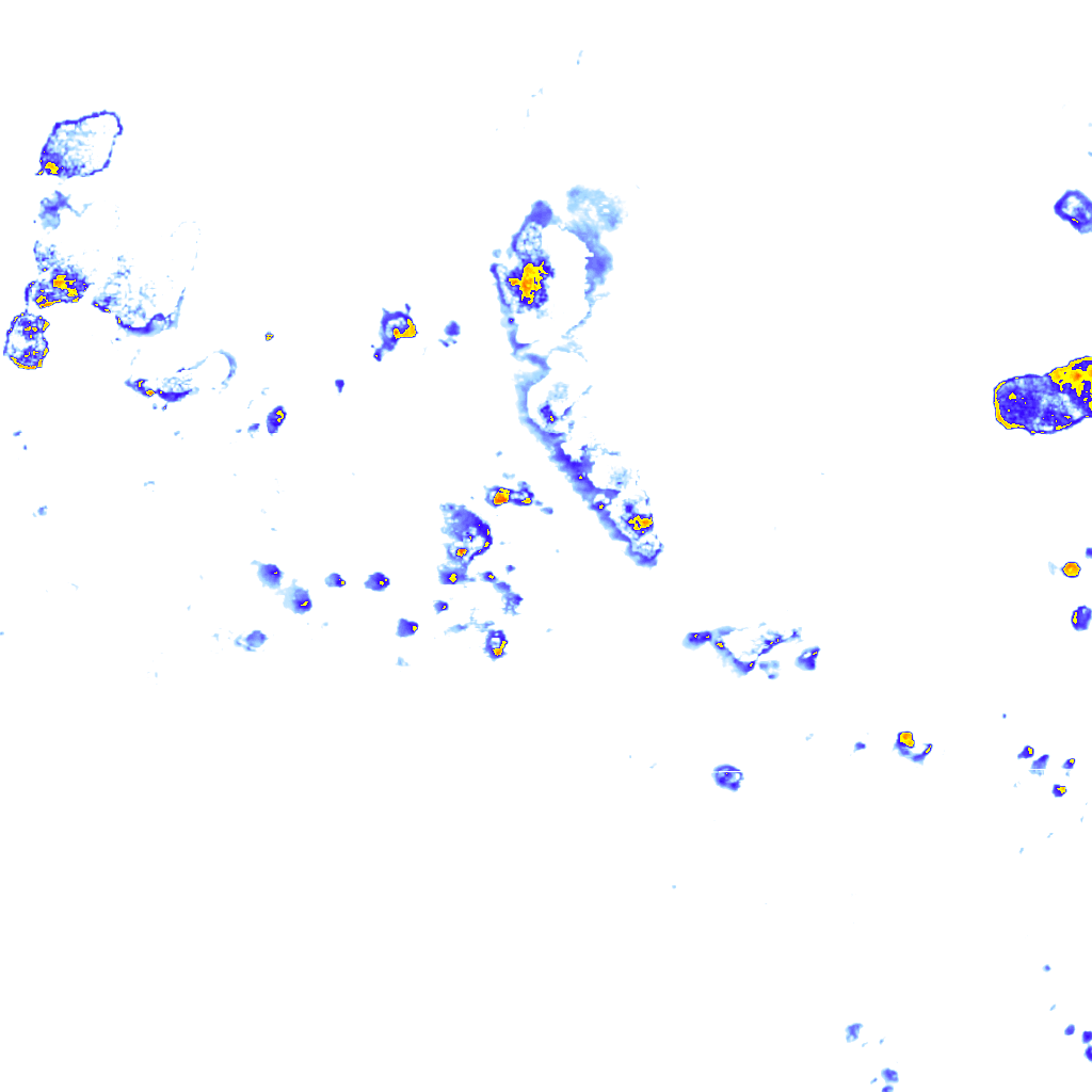 rainLayer