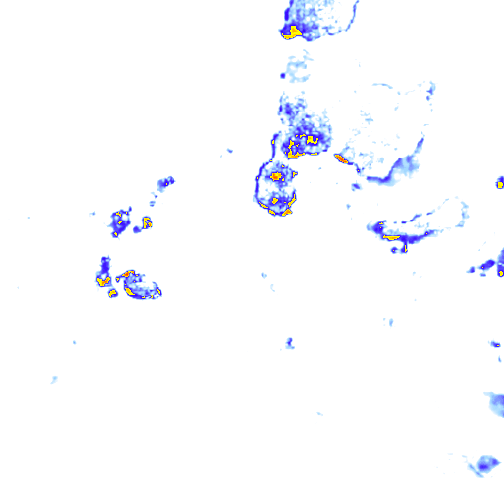 rainLayer