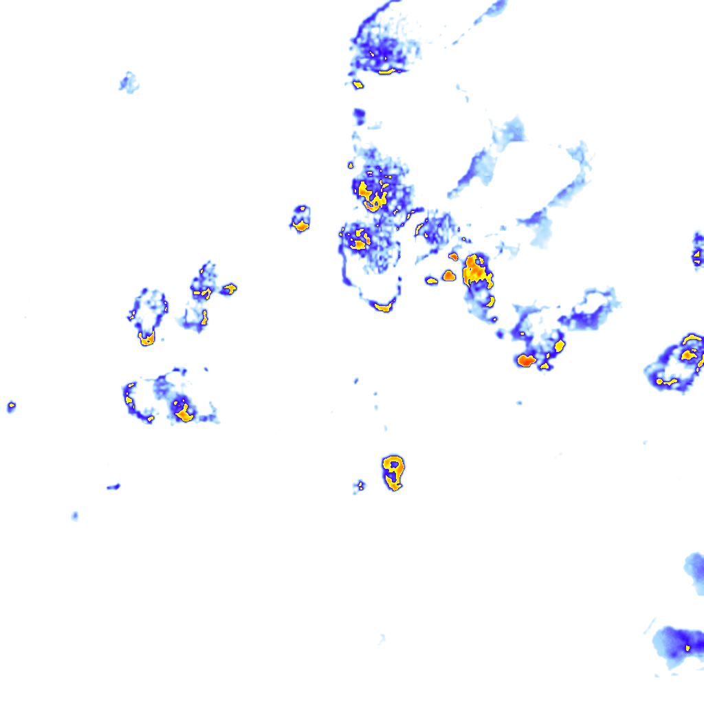 Image Layer