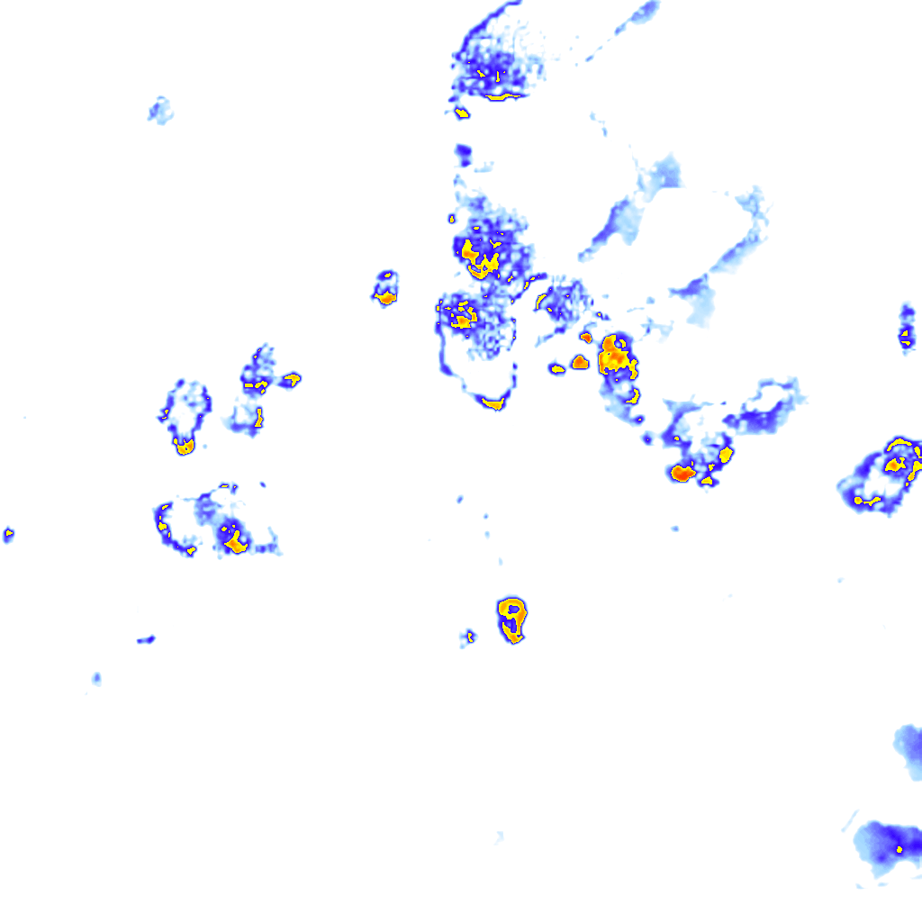 rainLayer