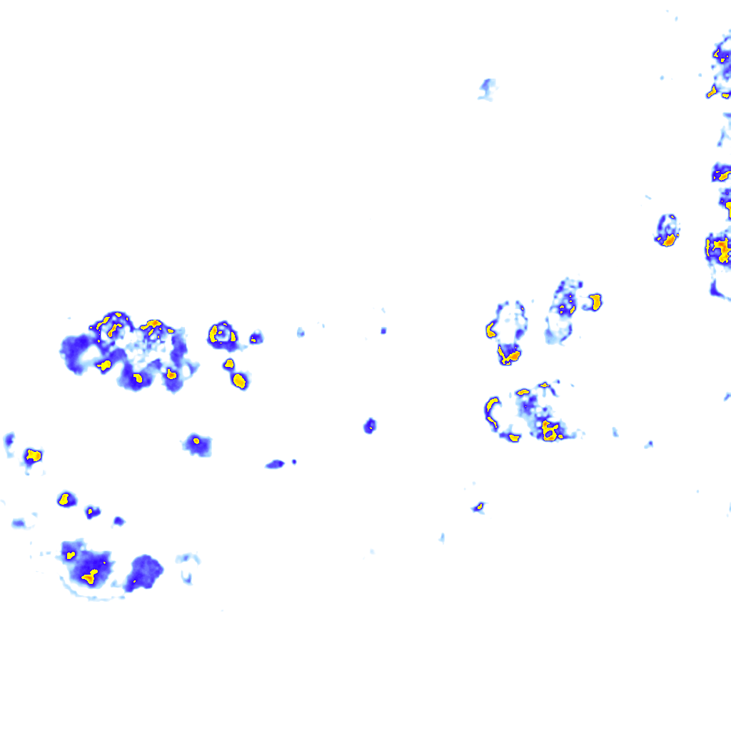 rainLayer