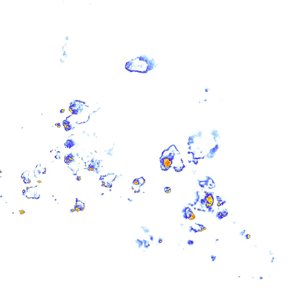 Image Layer