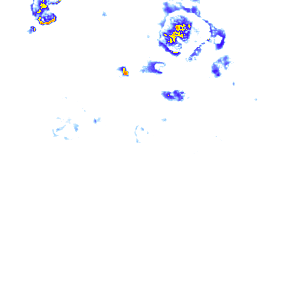 rainLayer