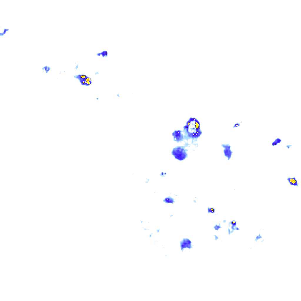 rainLayer