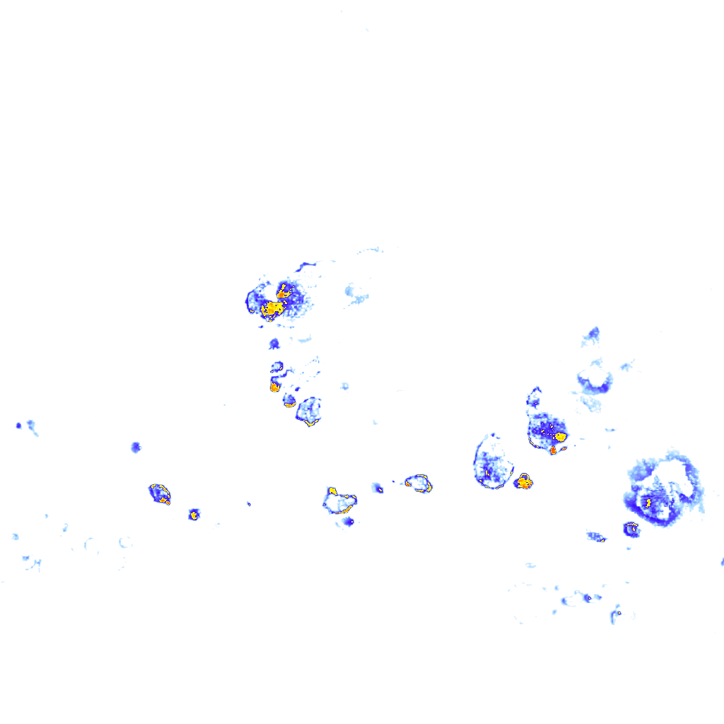 Image Layer