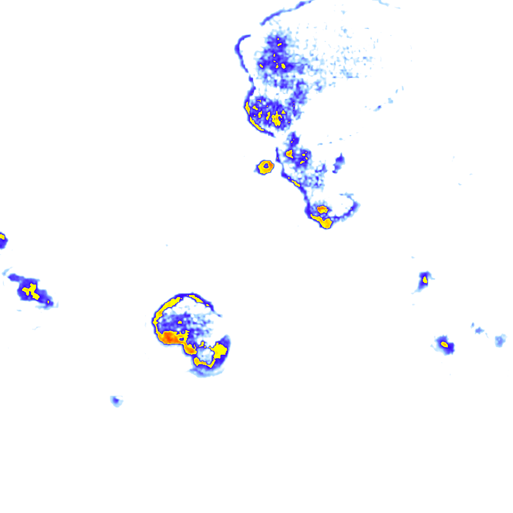 Image Layer