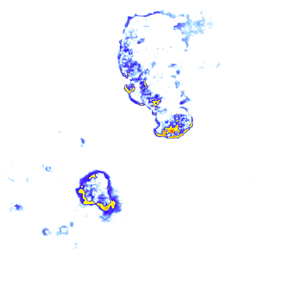 Image Layer