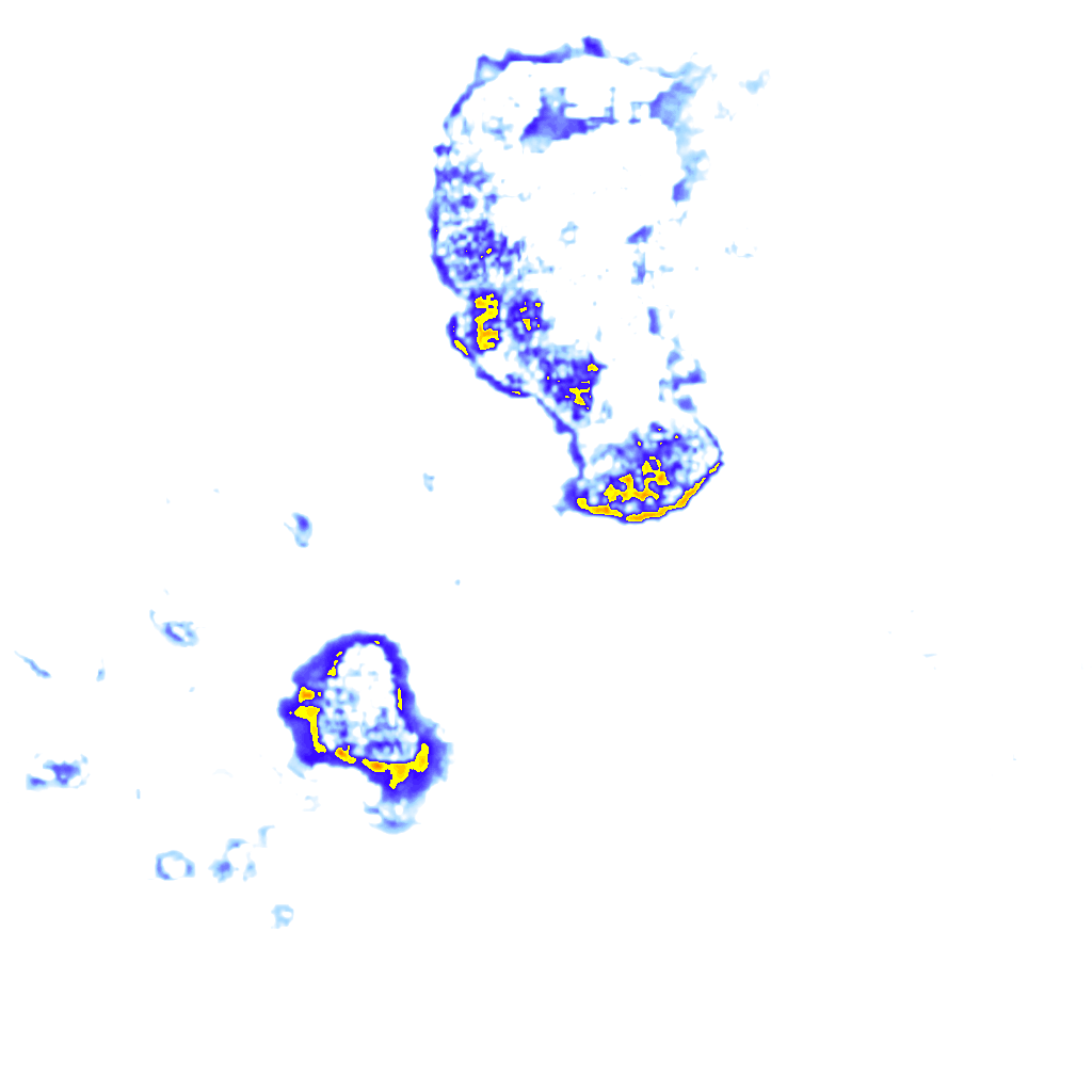 Image Layer