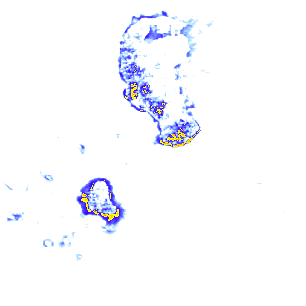 Image Layer