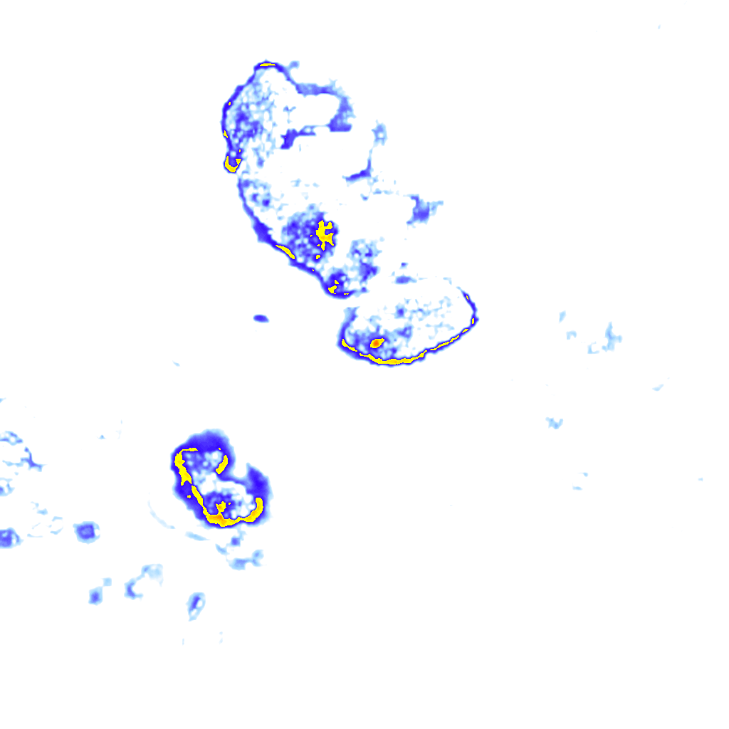 rainLayer