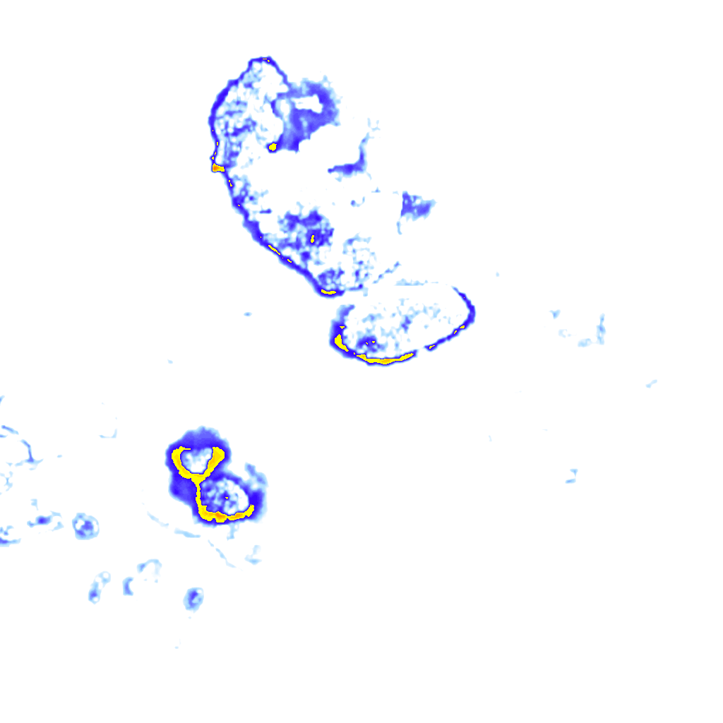 Image Layer