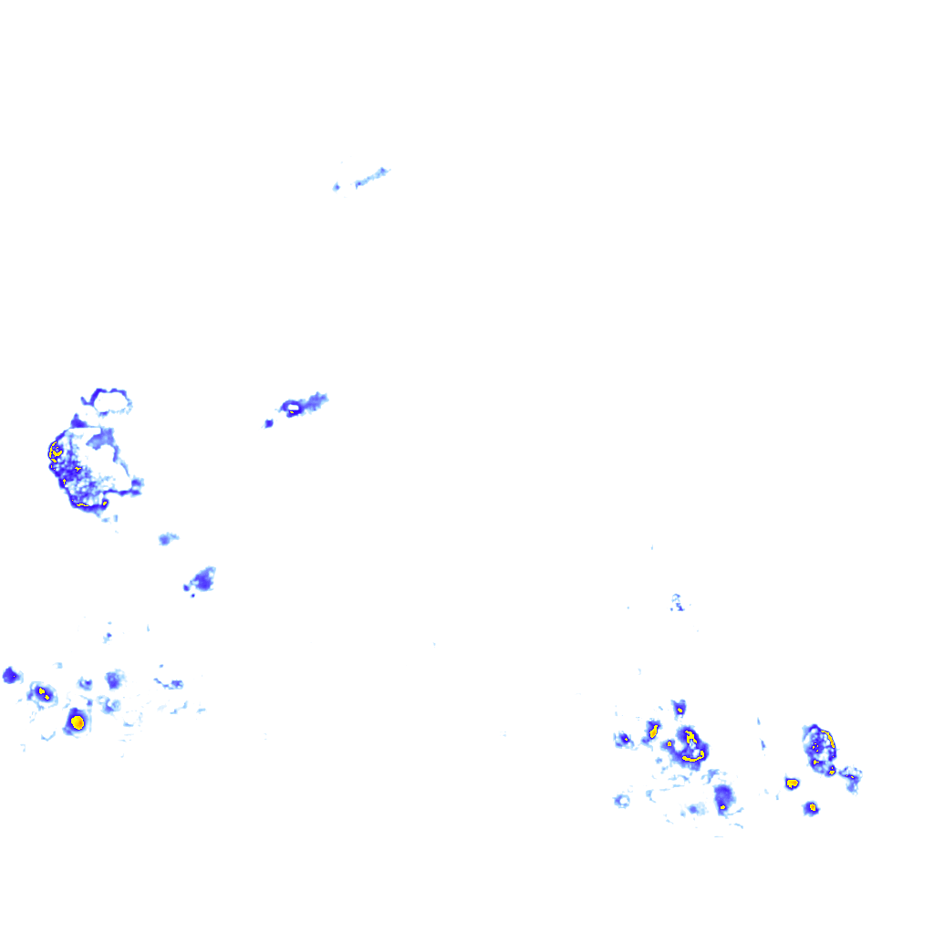 Image Layer