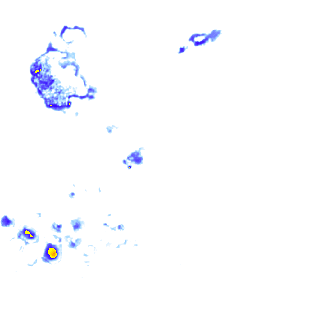 rainLayer