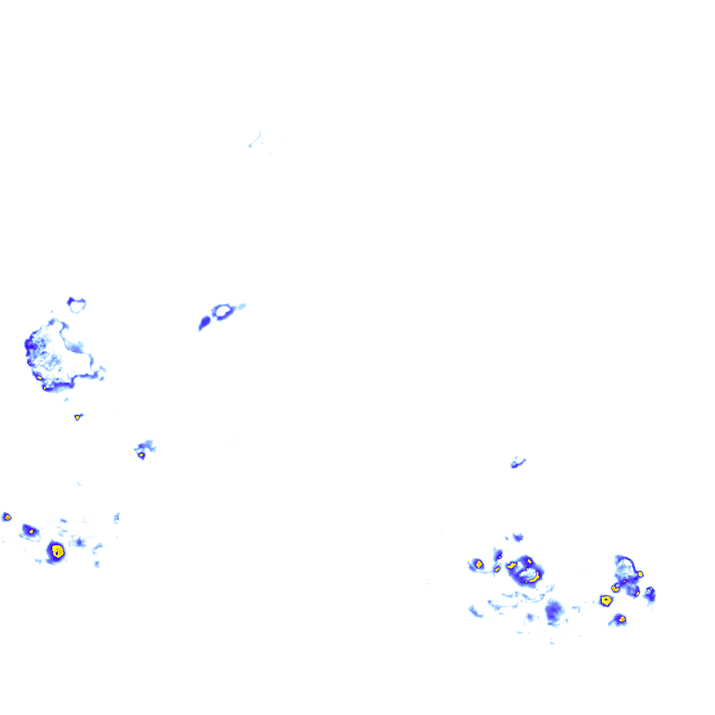rainLayer