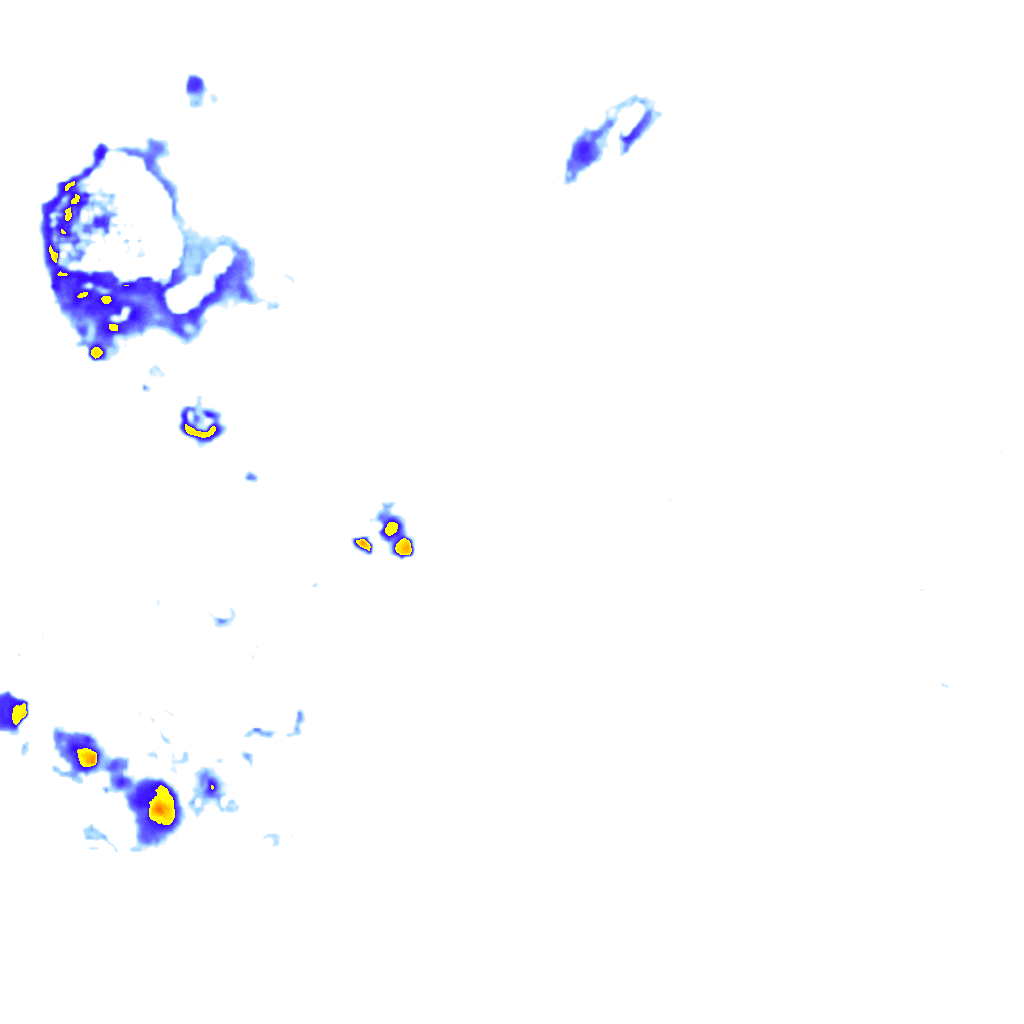 Image Layer