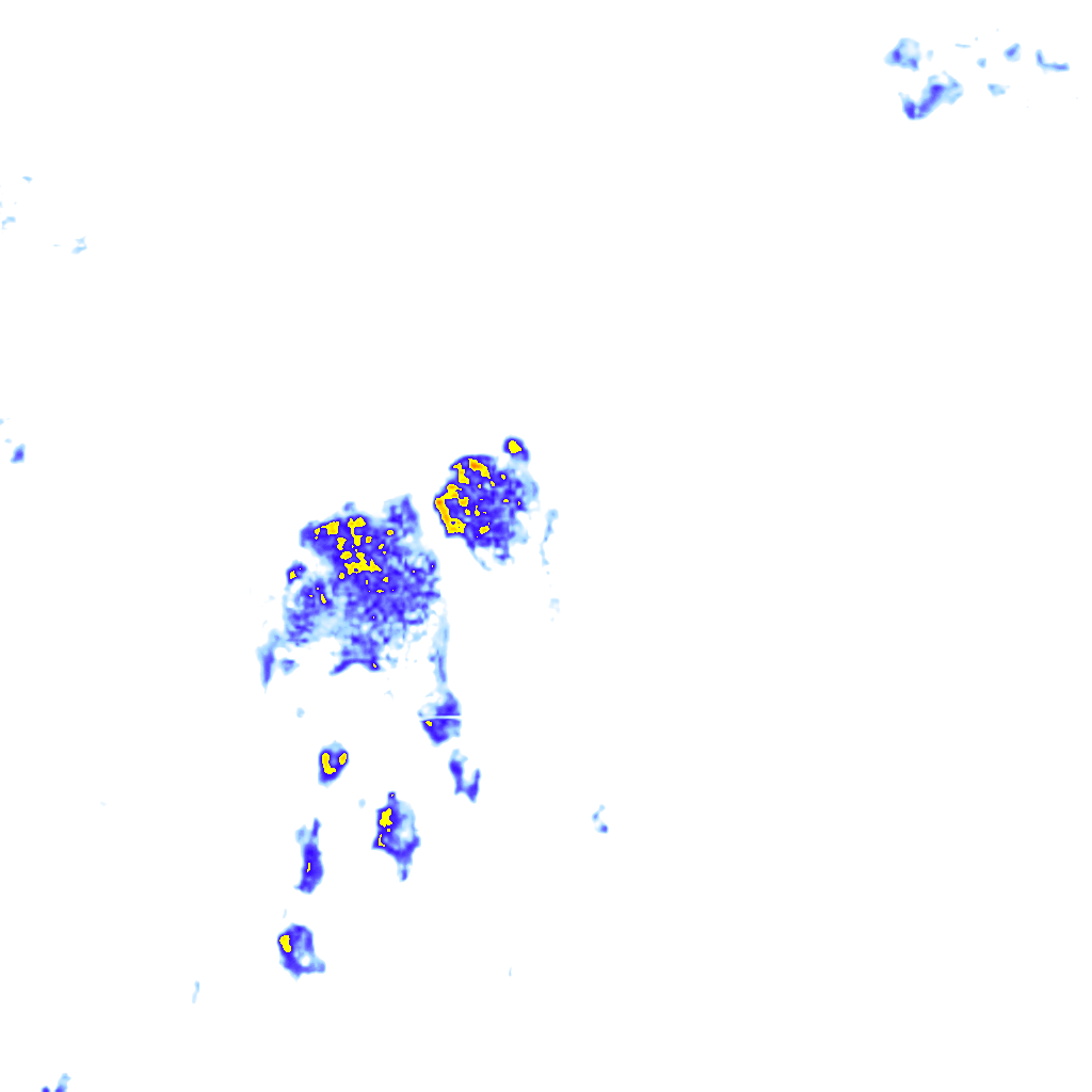 rainLayer