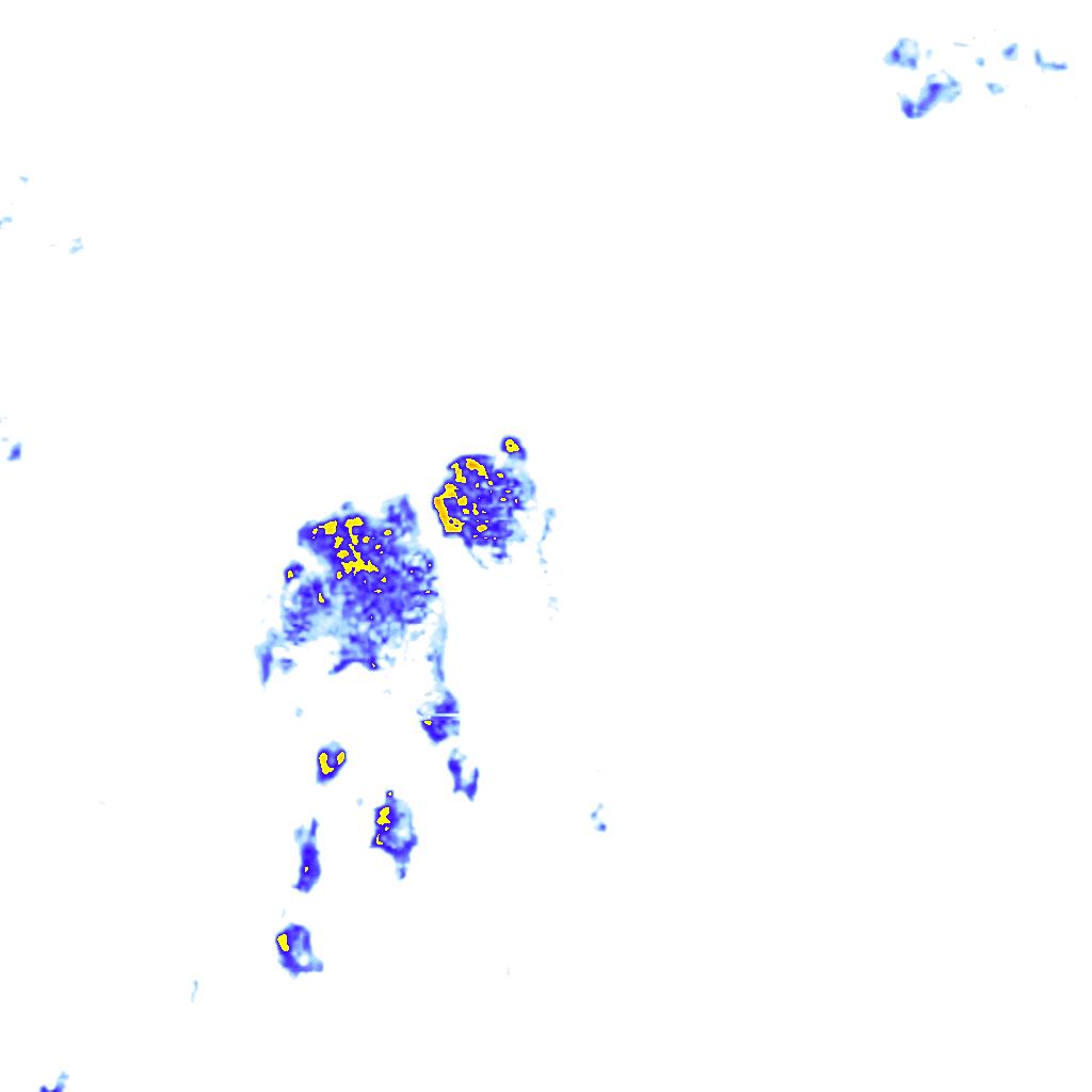 rainLayer