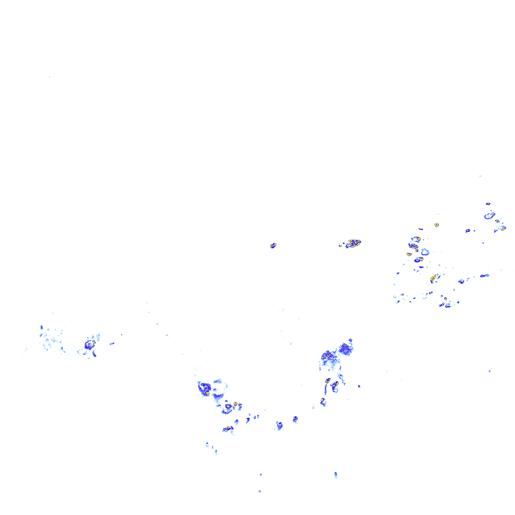 rainLayer