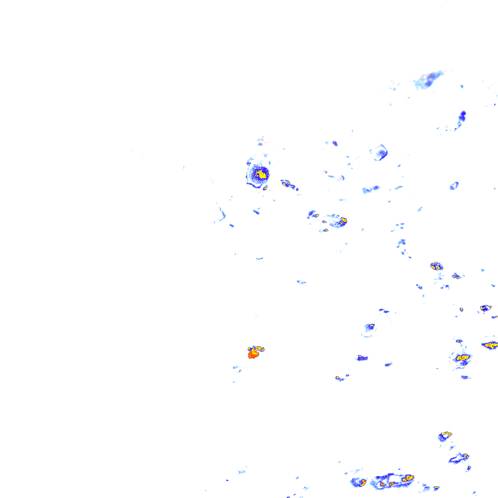 rainLayer