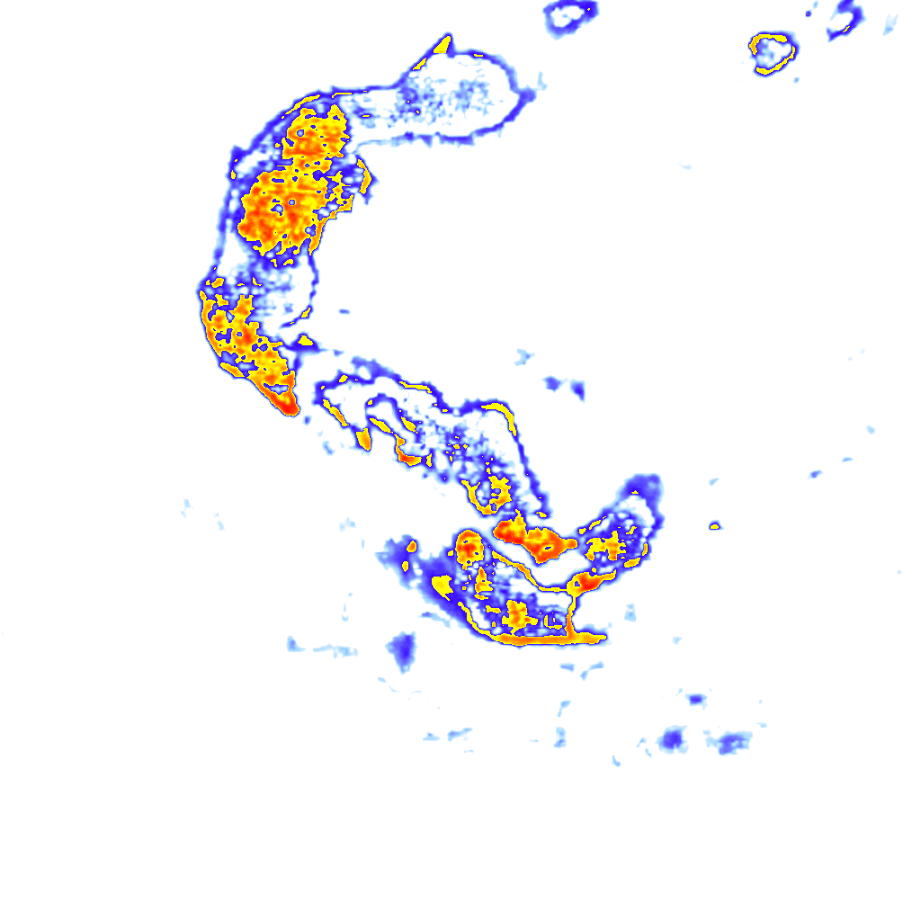 Image Layer
