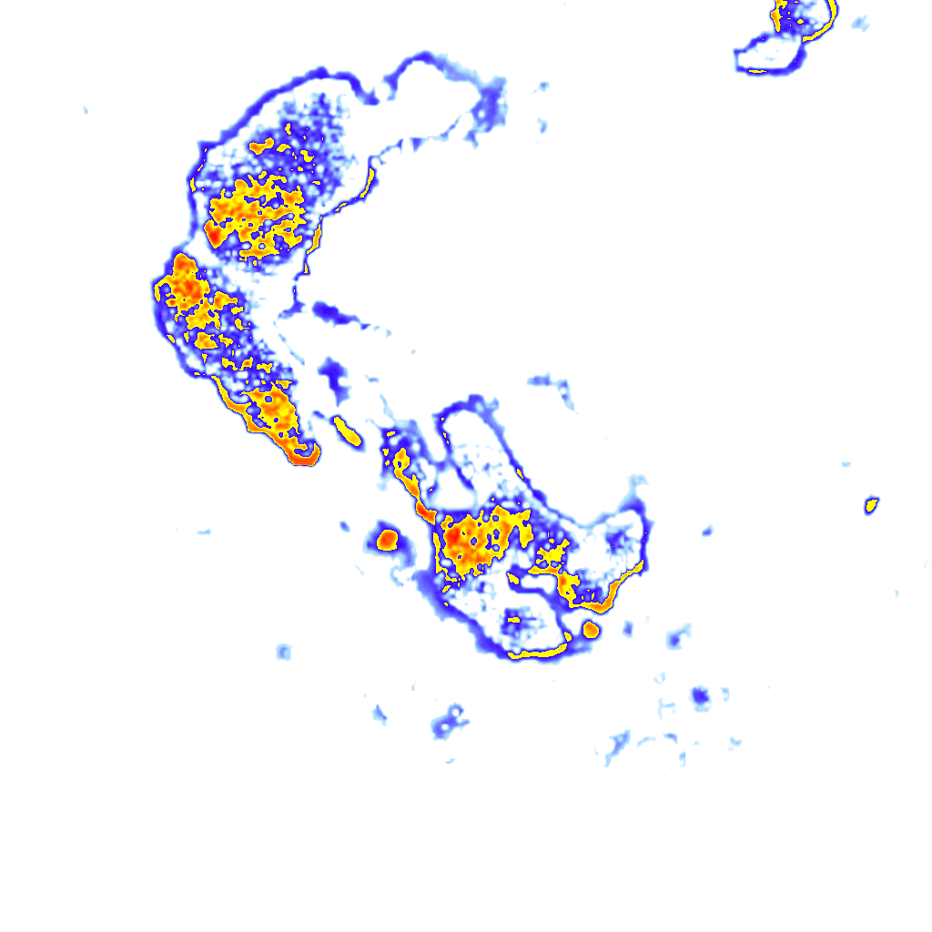 Image Layer